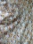 il_1140xN.6237204326_apxu.webp