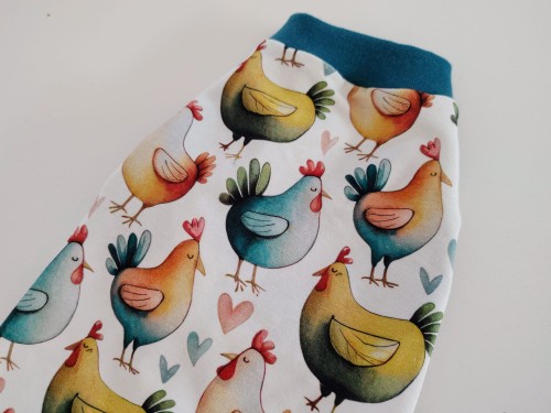 20250220_124650.jpg