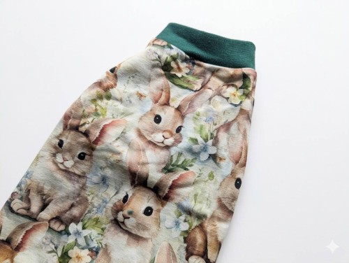 Wielkanocna bluza dla kota w króliczk1.jpg