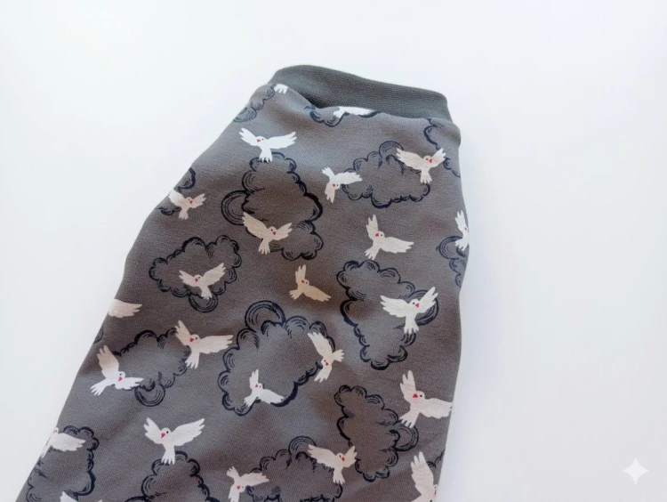 Bluzka dla Kota „Ptaszek w Chmurkach”2.jpg