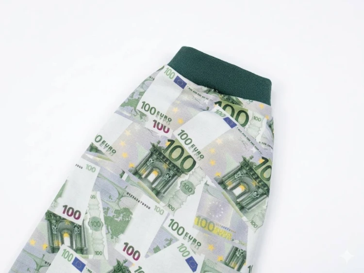 Bluzeczka dla kota „Euro Money” – ubranko z motywem 100 euro2.jpg