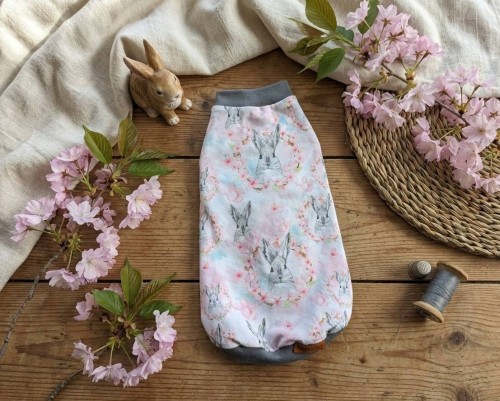 Wielkanocna bluza dla kota w króliczk4.jpg