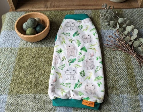 wielkanocne ubranko dla kota w króliczki z zielonym sciagaczem.jpg5.jpg