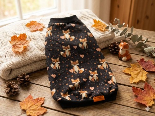 Ubranko dla kota „Złoty Lis i Serduszka”.jpg