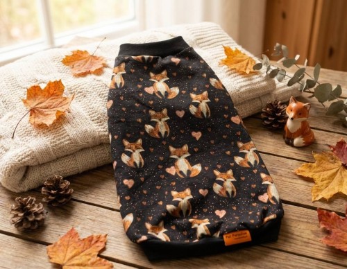 Ubranko dla kota „Złoty Lis i Serduszka”.jpg