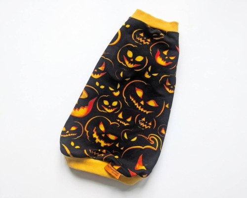 Czarna halloweenowa koszulka dla kota – dynie.jpg