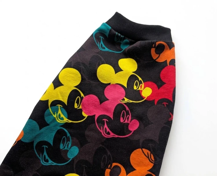 Bluza dla kota, kot bez sierści sphynx, kolorowa.4.jpg