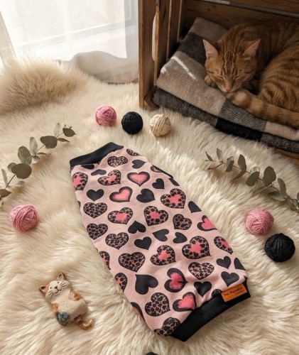 Różowa bluzeczka dla kota w serduszka – Pet Paradise 1.jpg
