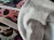il_1140xN.6374367404_t7x5.webp